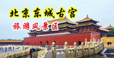 啊好大操我高潮了视频中国北京-东城古宫旅游风景区